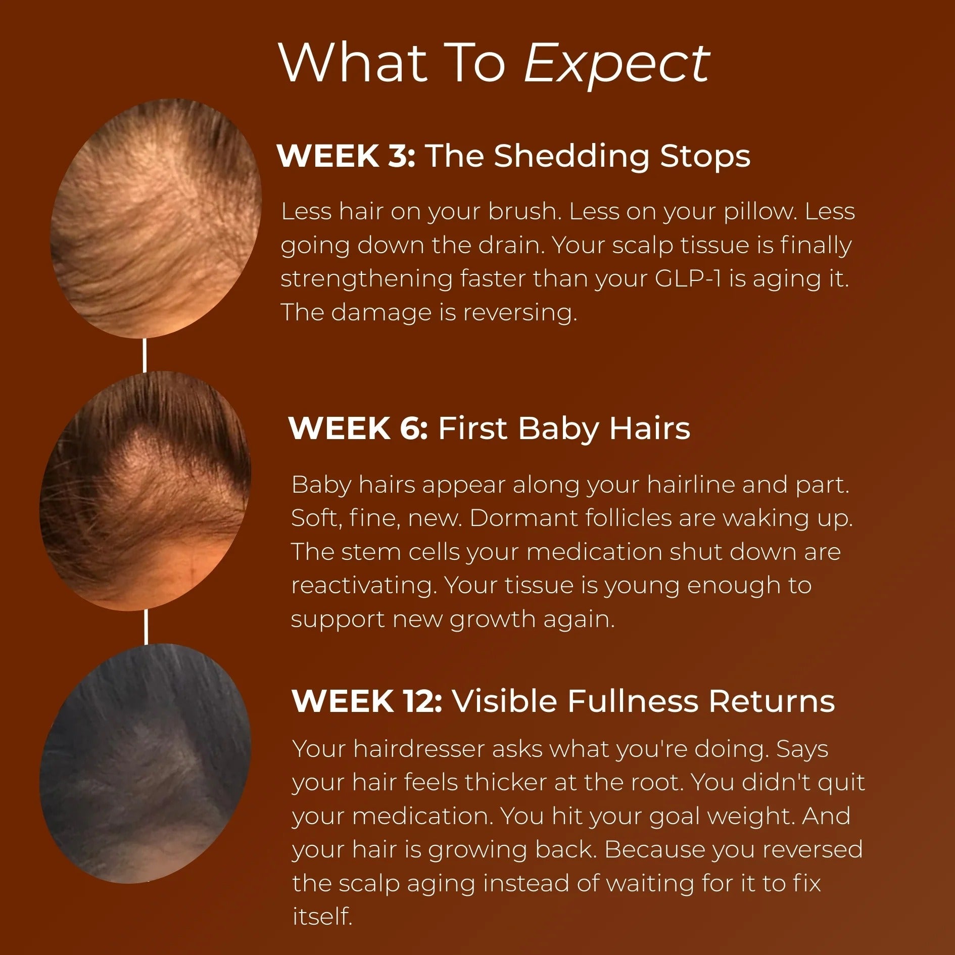 Hair Revive by Solvia - Solvia USA