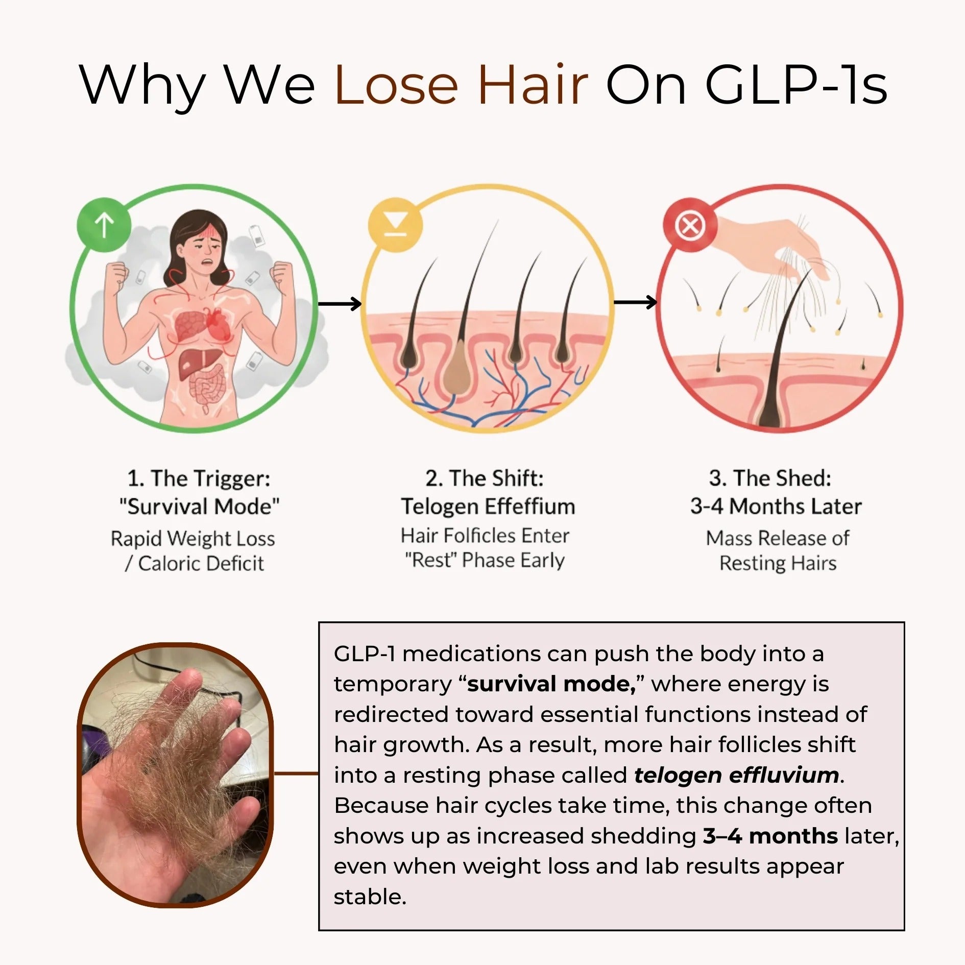 Hair Revive by Solvia - Solvia USA